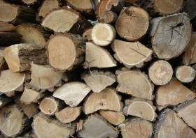 seasoned-firewood-image-indianapolis-in-your-chimney-sweep