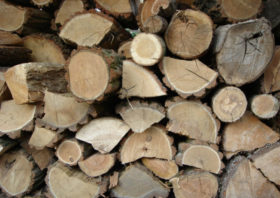 Tips For Properly Storing Firewood- Indianapolis IN- Your Chimney Sweep INC-w800-h597